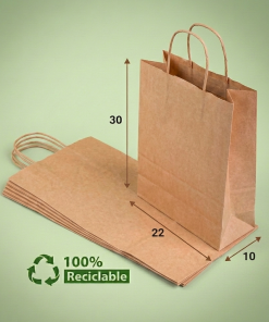 BOLSAS KRAFT 22X30X10