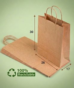 BOLSAS KRAFT 26X30X17 DELIVERY
