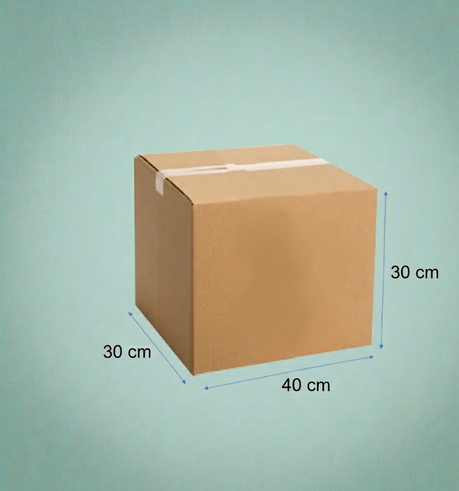 CAJA CARTON 40X30X30 12C