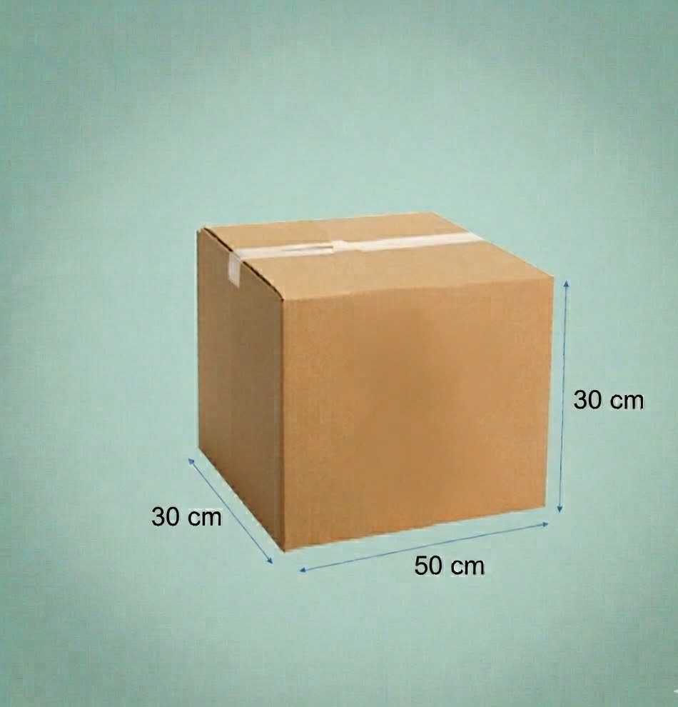 CAJA CARTON 30x50x30 12 C
