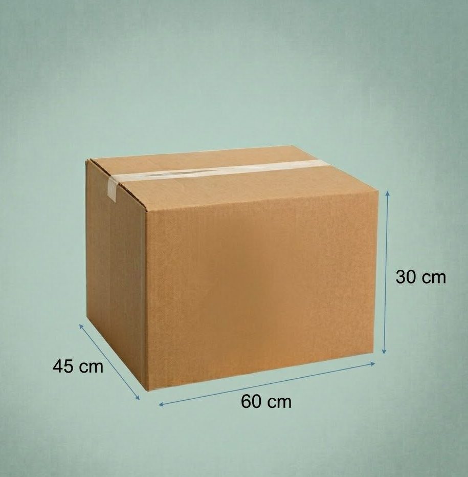 CAJA DE CARTON 65X45X30 30C