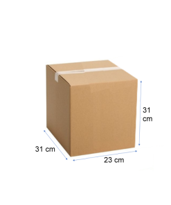 CAJA CARTON 31X23X31 12 C