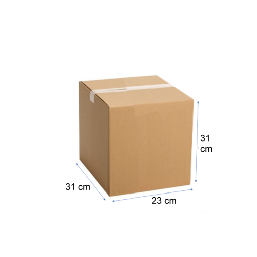 CAJA CARTON 31X23X31 12 C
