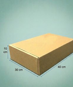 CAJA CARTON PREMIUM AUTOARMABLE 40X30X10